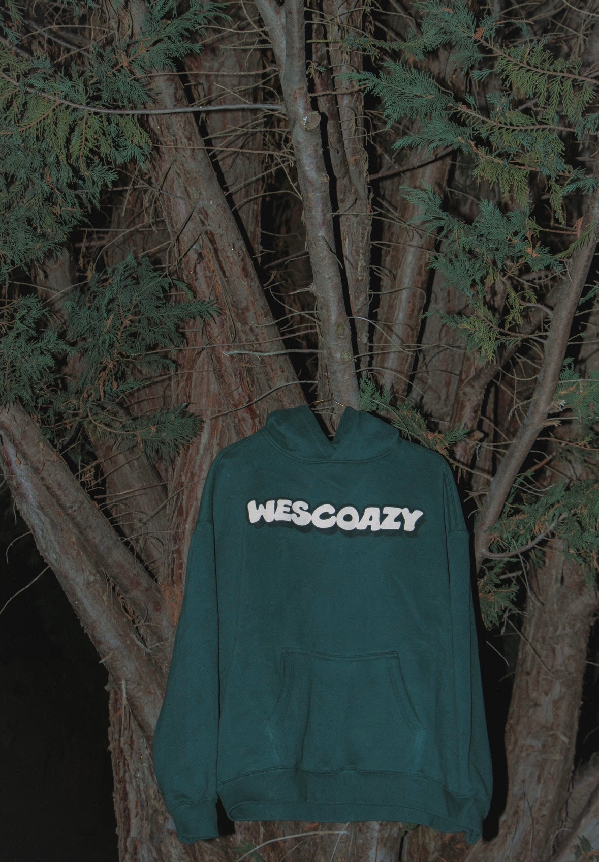 WESCOAZY SCREEN PRINTED GREEN HOODIE