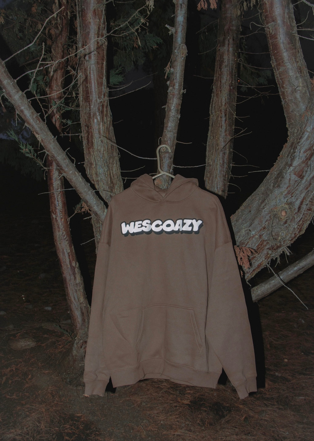 WESCOAZY SCREEN PRINTED BROWN HOODIE