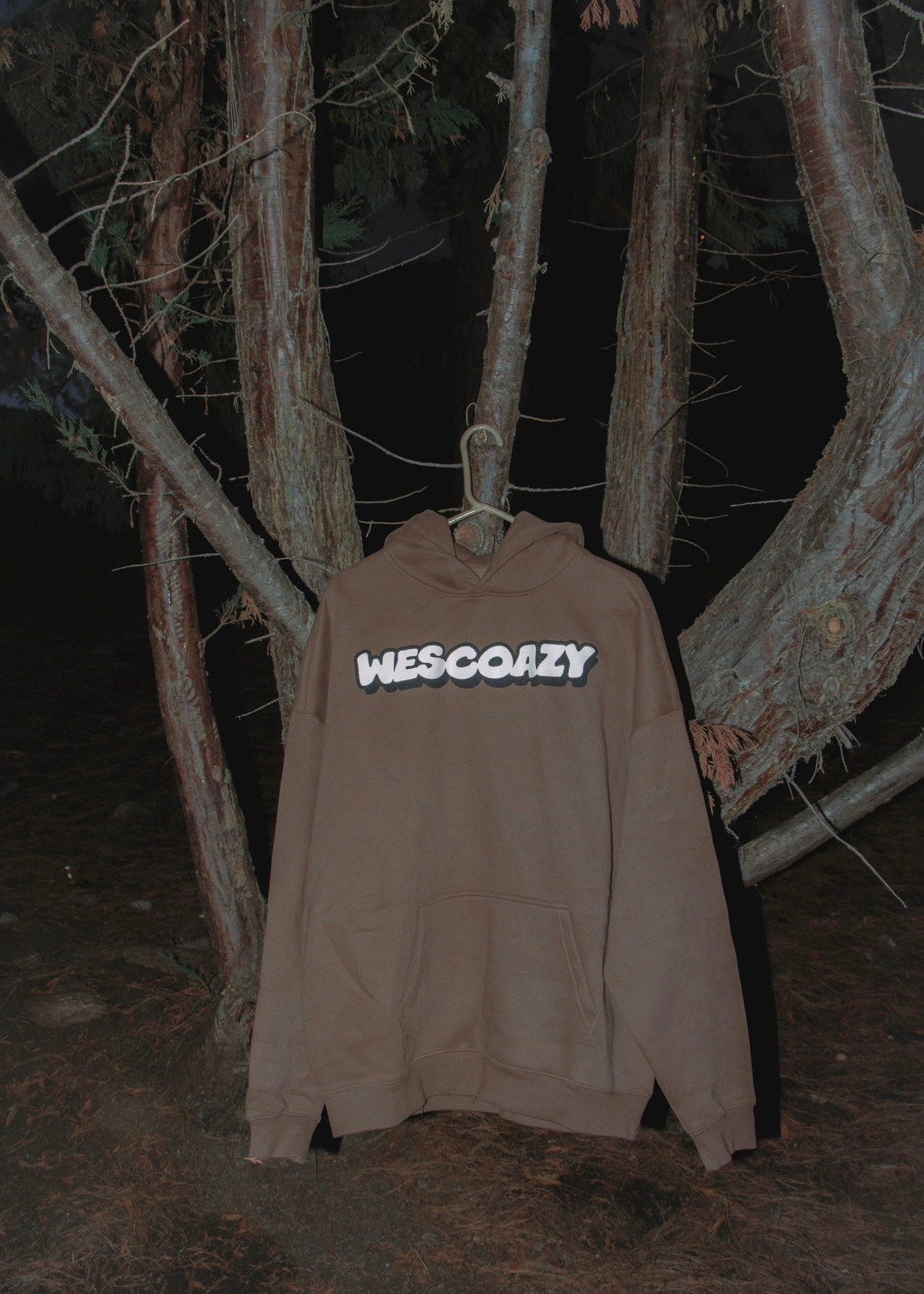 WESCOAZY SCREEN PRINTED BROWN HOODIE
